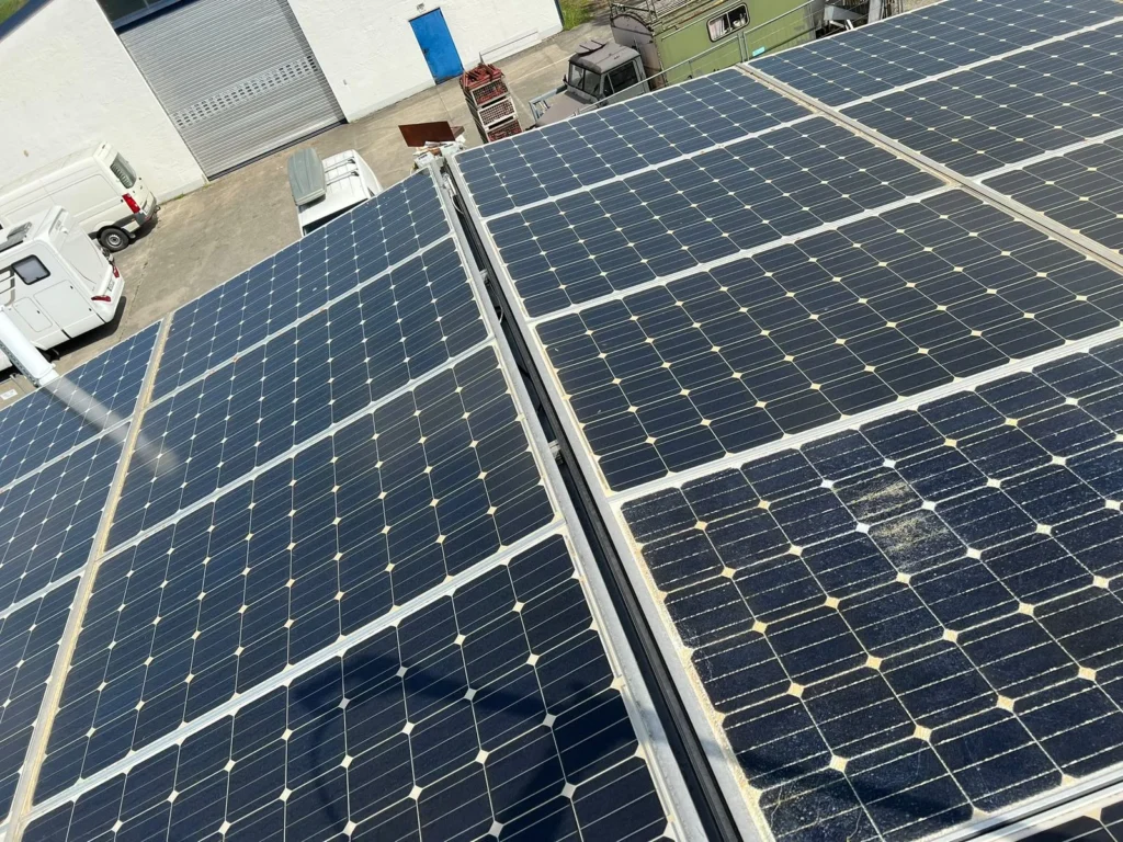 Verschmutzte Solarmodule auf einem Hallendach mit Bewuchs an den Modulrändern